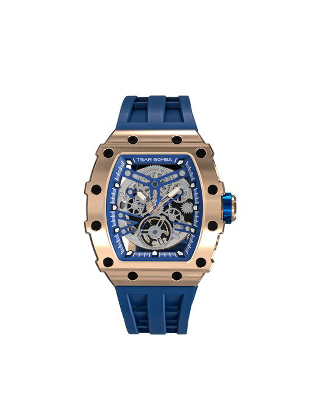 Automatic 21 Jewels Luminous Dial Sapphire Crystal Men's Watch -  TB8208A-17