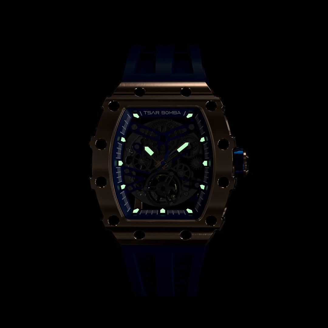 Automatic 21 Jewels Luminous Dial Sapphire Crystal Men's Watch -  TB8208A-17