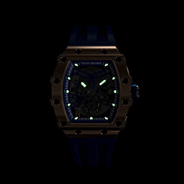 Automatic 21 Jewels Luminous Dial Sapphire Crystal Men's Watch -  TB8208A-17