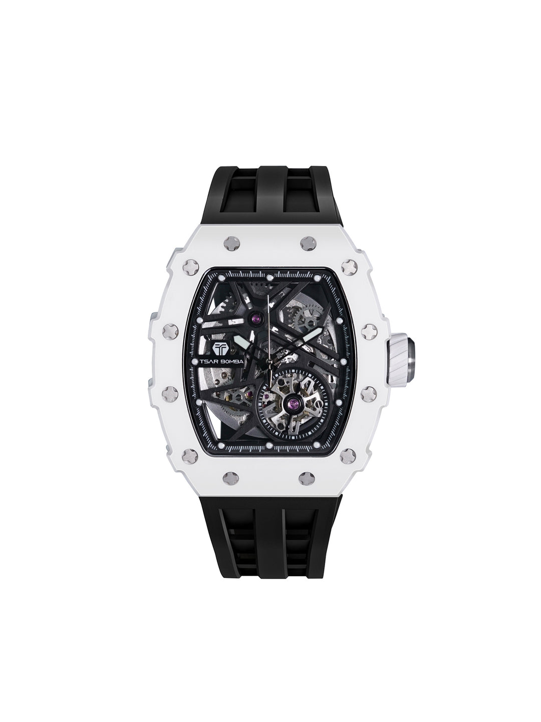 Automatic 21 Jewels Luminous Dial Sapphire Crystal Men's Watch -  TB8209C-03